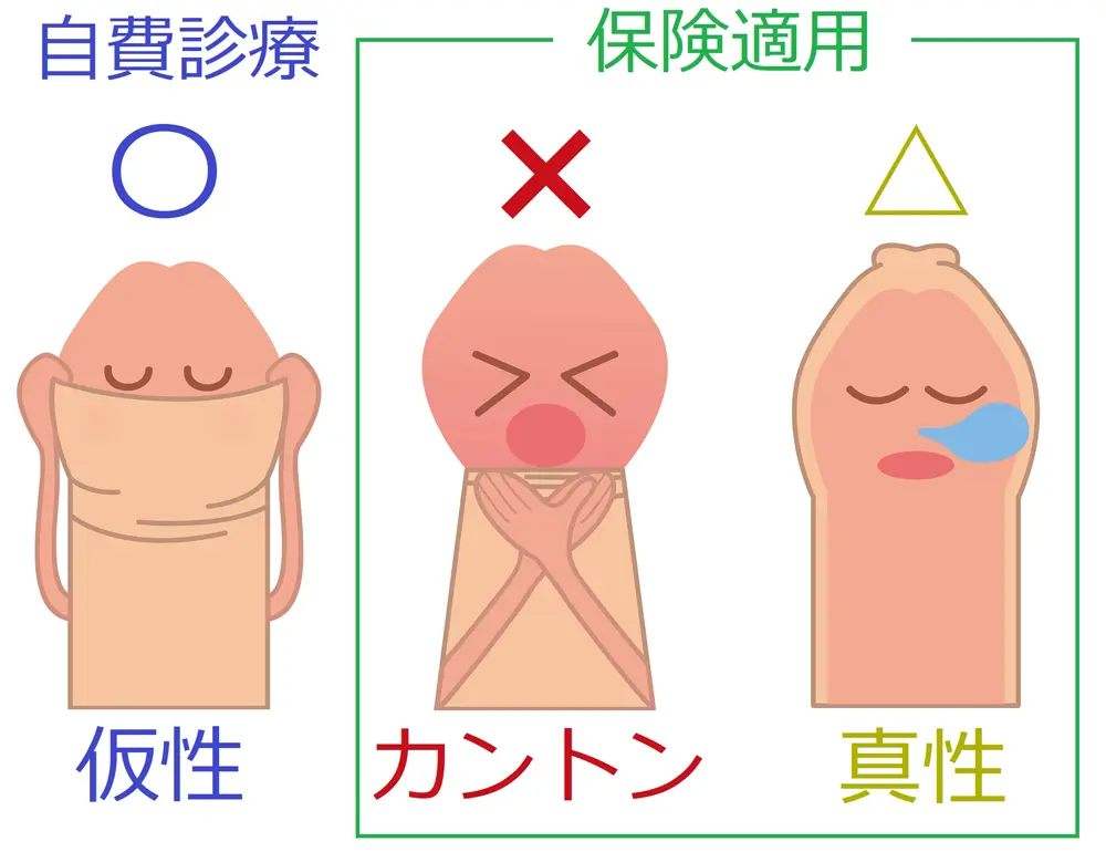 | 大人のシネマ館